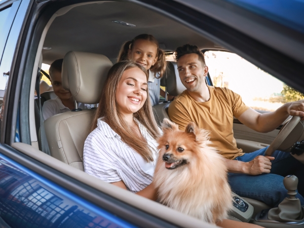 Cross-Border Car Rental from El Salvador